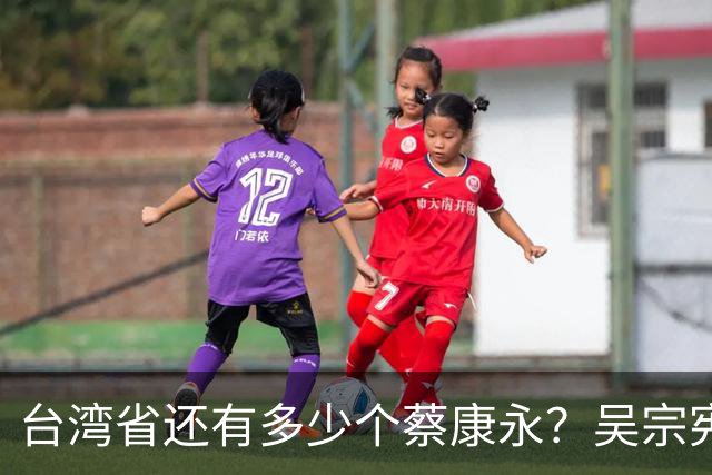台湾省还有多少个蔡康永？吴宗宪说了实话：艺人只赚钱不该表态