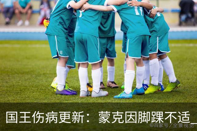 国王伤病更新：蒙克因脚踝不适 出战状态降级为大概率缺阵