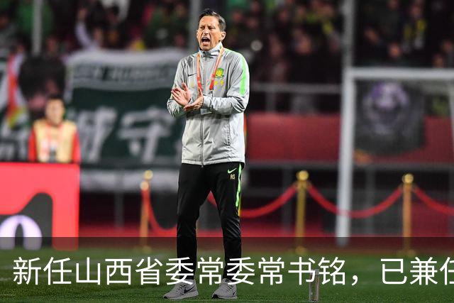 新任山西省委常委常书铭，已兼任省委统战部部长