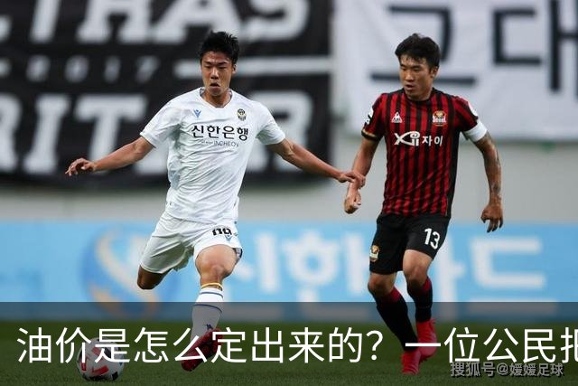 油价是怎么定出来的？一位公民把国家发改委告上了法庭 ——熊隆飞诉国家发改委政府信息公开案观察