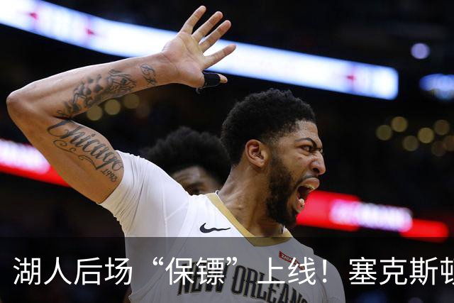 湖人后场“保镖”上线！塞克斯顿为东里组合减压