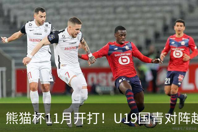 熊猫杯11月开打！U19国青对阵越南塔吉克斯坦韩国