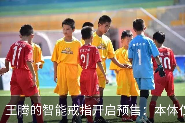 王腾的智能戒指开启预售：本体仅卖百余件，配件已售超5000件