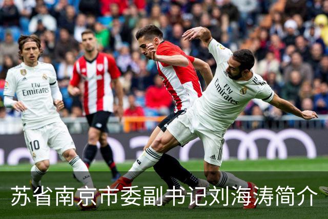 苏省南京市委副书记刘海涛简介