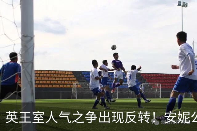 英王室人气之争出现反转！安妮公主升至榜首，威廉凯特不再领跑！