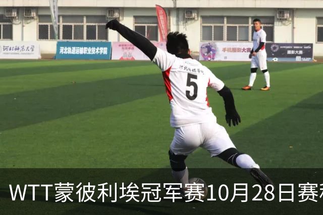 WTT蒙彼利埃冠军赛10月28日赛程出炉：国乒5人登场，王曼昱、王艺迪出战